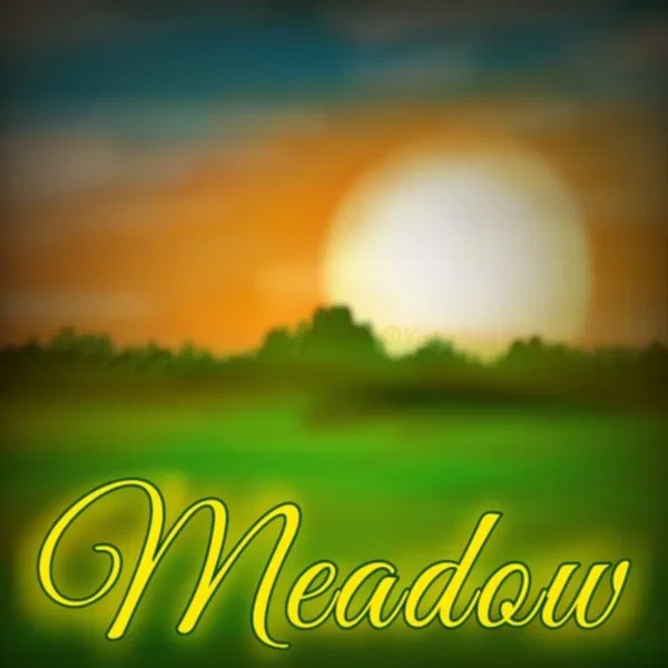 Meadow