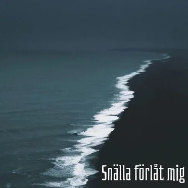 Snälla förlåt mig by Hakimech Goder - album cover