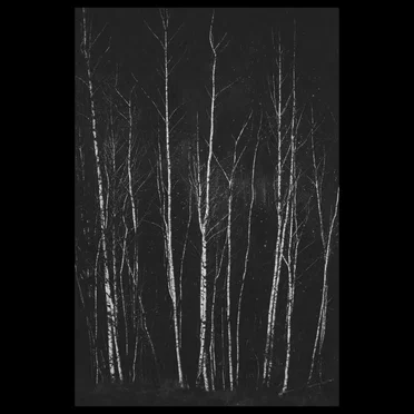 Labirinto Sonoro by Winterblood - album cover