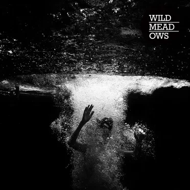 Wild Meadows
