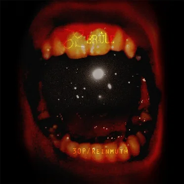 30P/Reinmuth by Je Brûle - album cover