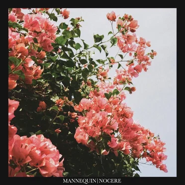 Nocere by Mannequin - album cover