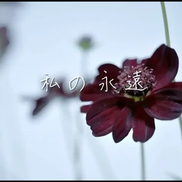 私の永遠 by ALICes - album cover
