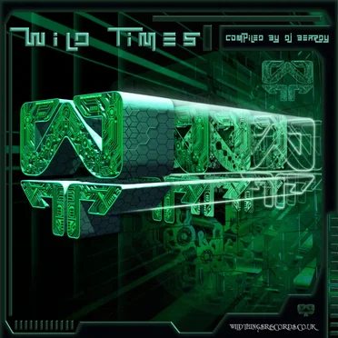 Wild Times by Various Artists - album cover