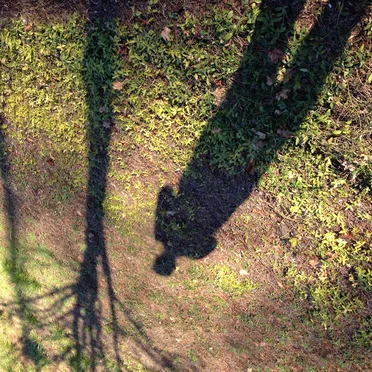 Requiem For (demo, no vox, virtual instruments)