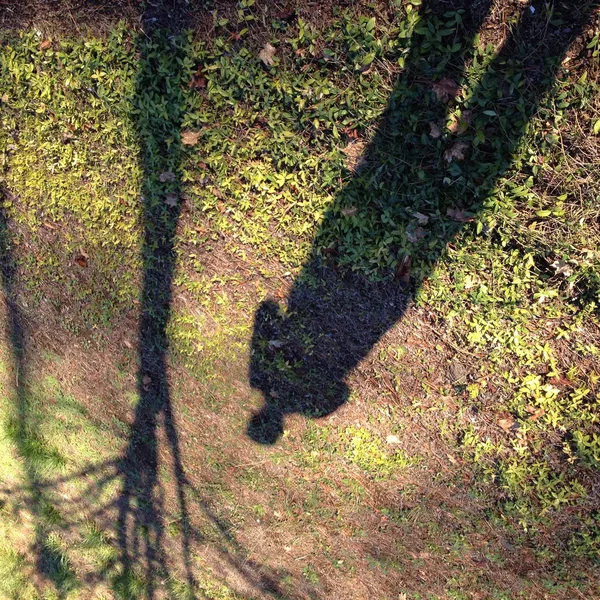 Requiem For (demo, no vox, virtual instruments)