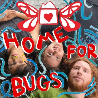 Home For Bugs