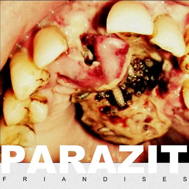 Friandises by Parazit - album cover