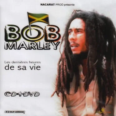 Les Dernières Heures de sa vie