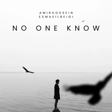 No One Know by AmirHossein Esmaeilbeigi - album cover