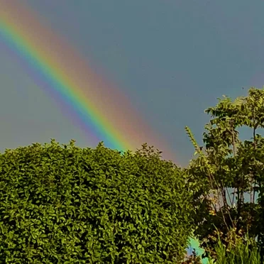 Juichigatsunakaba (Over the Green Rainbow)