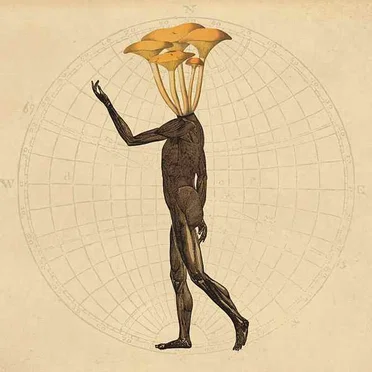 Mr. Invisible