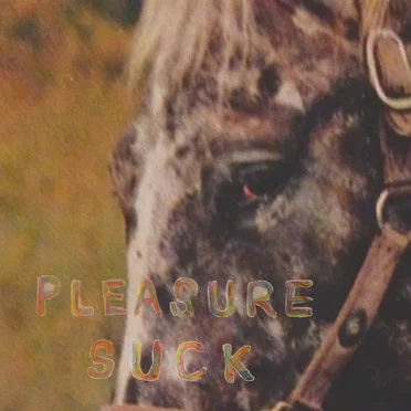 Pleasure Suck by The Spirit of the Beehive - album cover