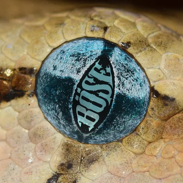 Moonsnake