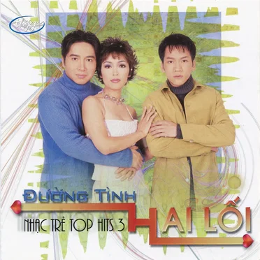 Top Hits 3 - Đường tình hai lối by Various Artists - album cover