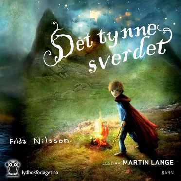 Det Tynne Sverdet by Frida Nilsson - album cover
