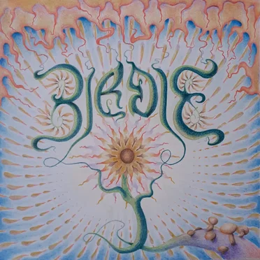Birdie by Heath - album cover
