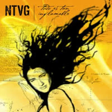 Todo es tan inflamable