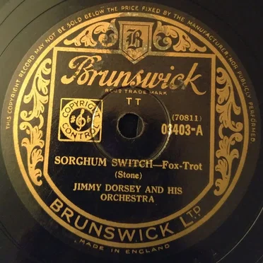 Sorghum Switch / Brazil