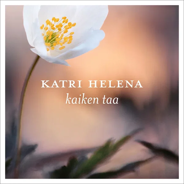 Kaiken taa