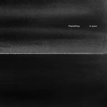 in spoar by Piiptsjilling - album cover