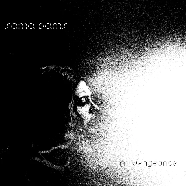 No Vengeance