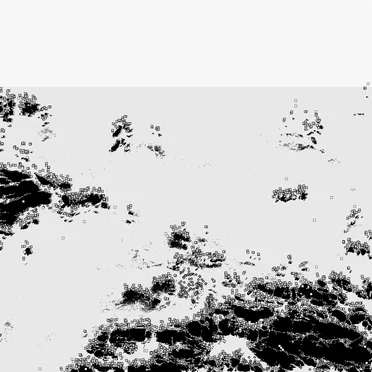 The Black Sea by Bot1500 - album cover