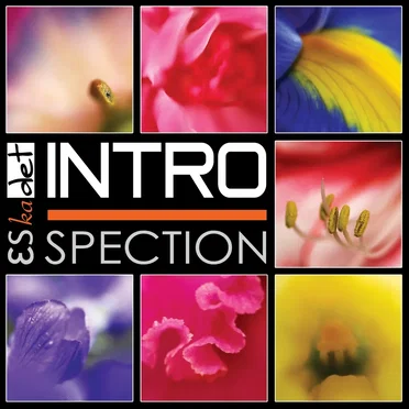 Introspection by Eskadet - album cover