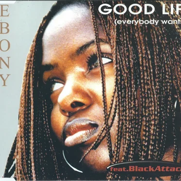 Good Life (Everybody Wants It)