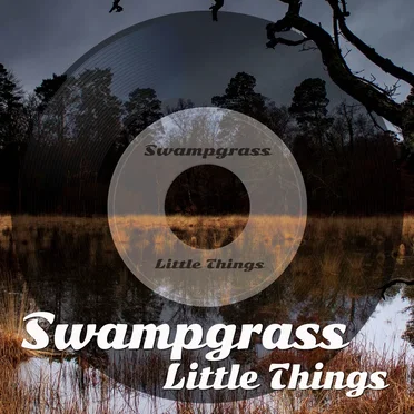 Little Things by Swampgrass - album cover