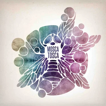 Assimetria by Mosca Tosca - album cover