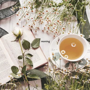Morning