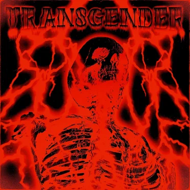 TRANSGENDER by Leshen - album cover