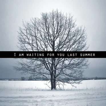 I Am Waiting for You Last Summer