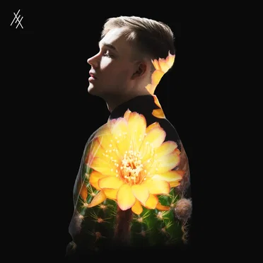 Aavikolla by Ollie - album cover