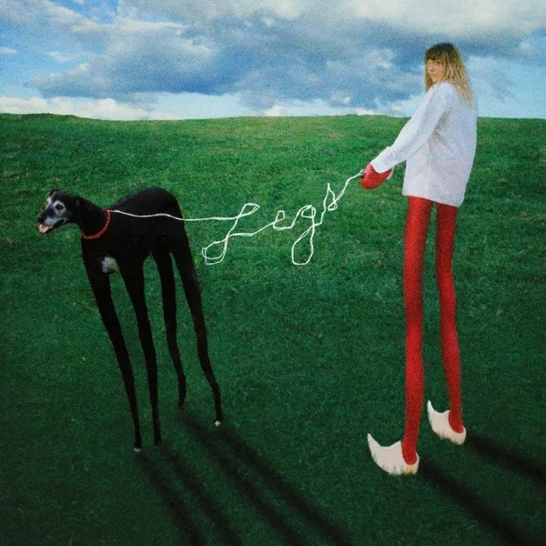 Legs