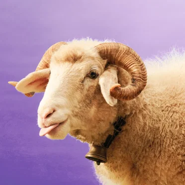 Under em Schirm (Sombrilla Y Parapluie)