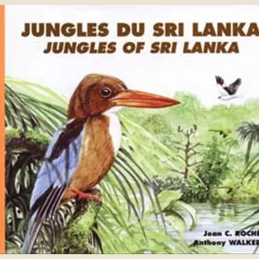 Jungles du Sri Lanka / Jungles of Sri Lanka