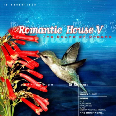 Romantic House V: The Sound of Dreams by Various Artists - album cover