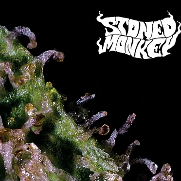 Stoned Monkey by Stoned Monkey - album cover