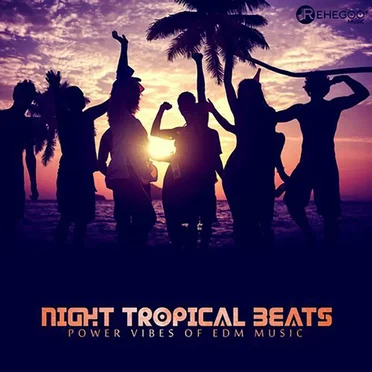 Night Tropical Beats: Power Vibes of EDM Music by Various Artists - album cover