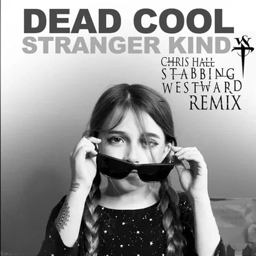 Stranger Kind (Stabbing Westward remix)