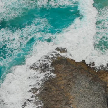 Waves of Thought