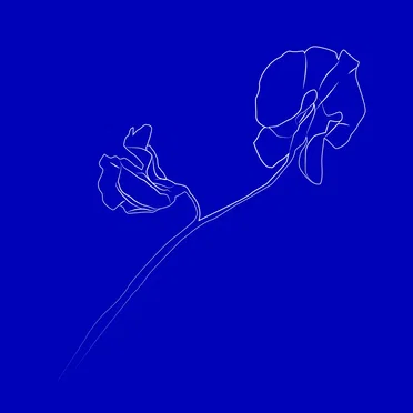 New Path (The Remixes) by Essaie Pas - album cover