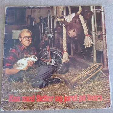 Kua med fletter og juret på tvers