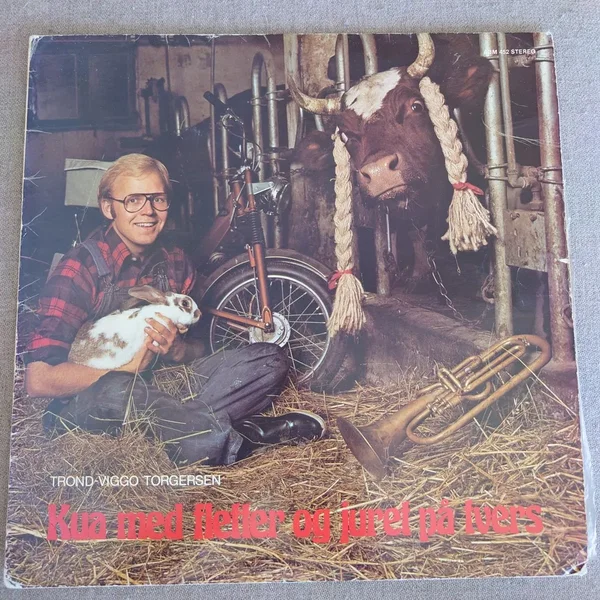 Kua med fletter og juret på tvers