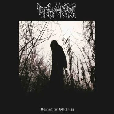 Waiting for Blackness by Thy Kingdom Ablaze - album cover