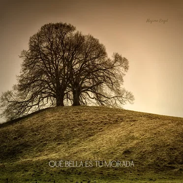 Que Bella Es Tu Morada by Majime Engel - album cover