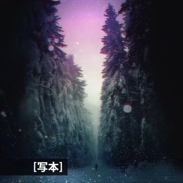 [写本] // Codex