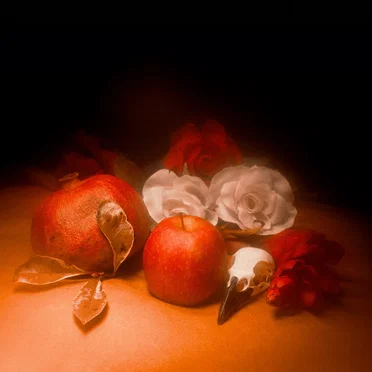 A Victimless Crime by Paper Anthem - album cover
